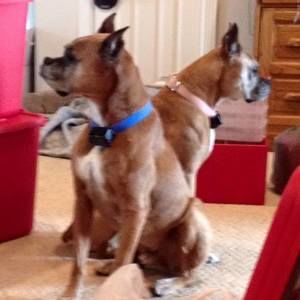 Meet your Posher, Sheri